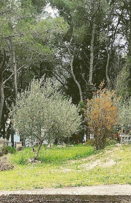 ستاري غراد Apartment Maya المظهر الخارجي الصورة